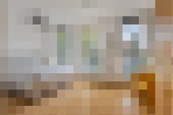 Koegelwieck 10 Hoofddorp thumbnail 14
