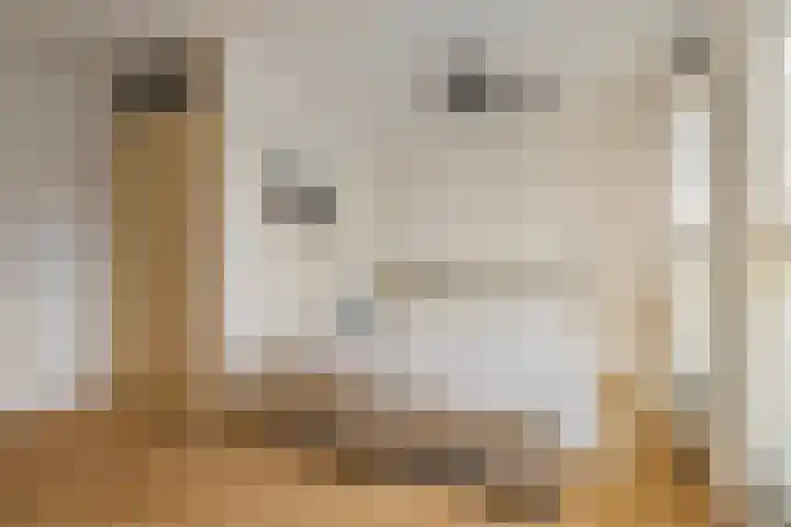 Koegelwieck 10 Hoofddorp thumbnail 15