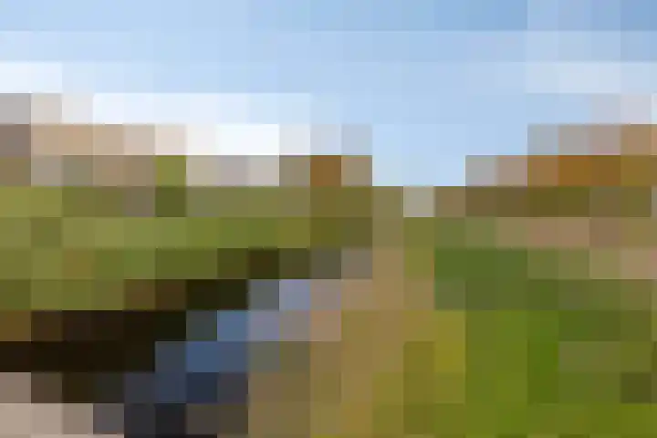 Koegelwieck 10 Hoofddorp thumbnail 27