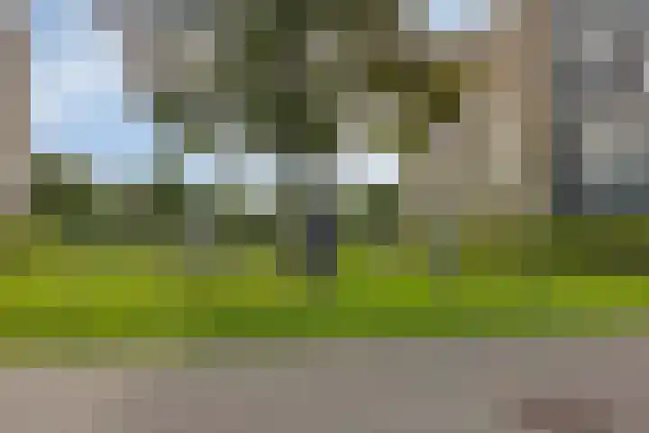 Koegelwieck 10 Hoofddorp thumbnail 28