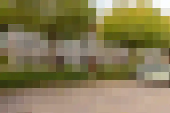 Koegelwieck 10 Hoofddorp thumbnail 5