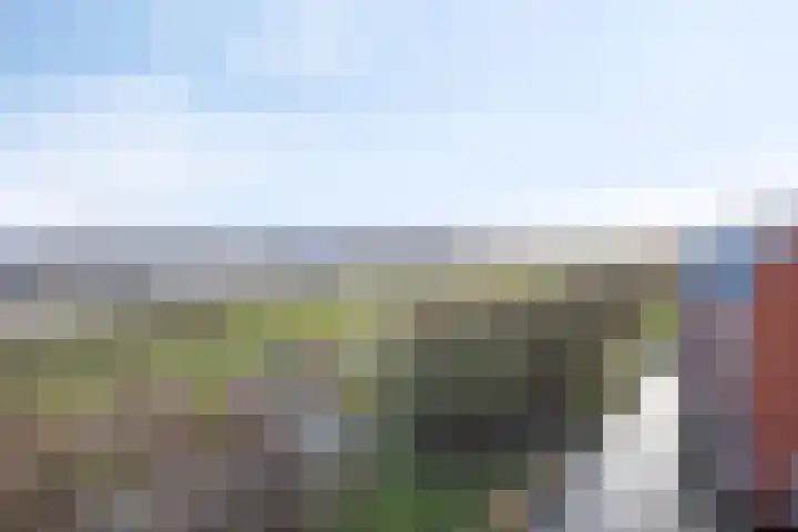Koegelwieckplantsoen 103 Berkel en Rodenrijs thumbnail 32