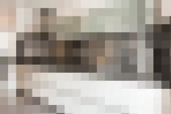 Koegelwieckplantsoen 12 Berkel en Rodenrijs thumbnail 17