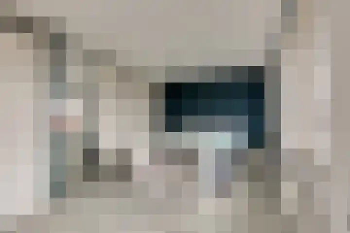 Koegelwieckplantsoen 12 Berkel en Rodenrijs thumbnail 20
