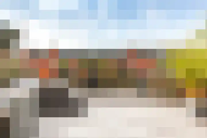 Koegelwieckplantsoen 12 Berkel en Rodenrijs thumbnail 35