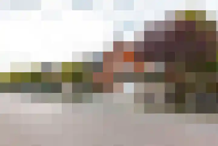 Koegelwieckplantsoen 12 Berkel en Rodenrijs thumbnail 41