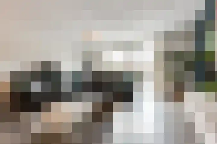 Koegelwieckplantsoen 12 Berkel en Rodenrijs thumbnail 9