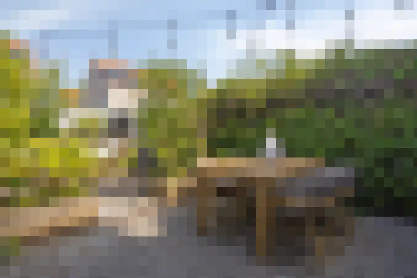 Koegelwieckplantsoen 3 Berkel en Rodenrijs thumbnail 27