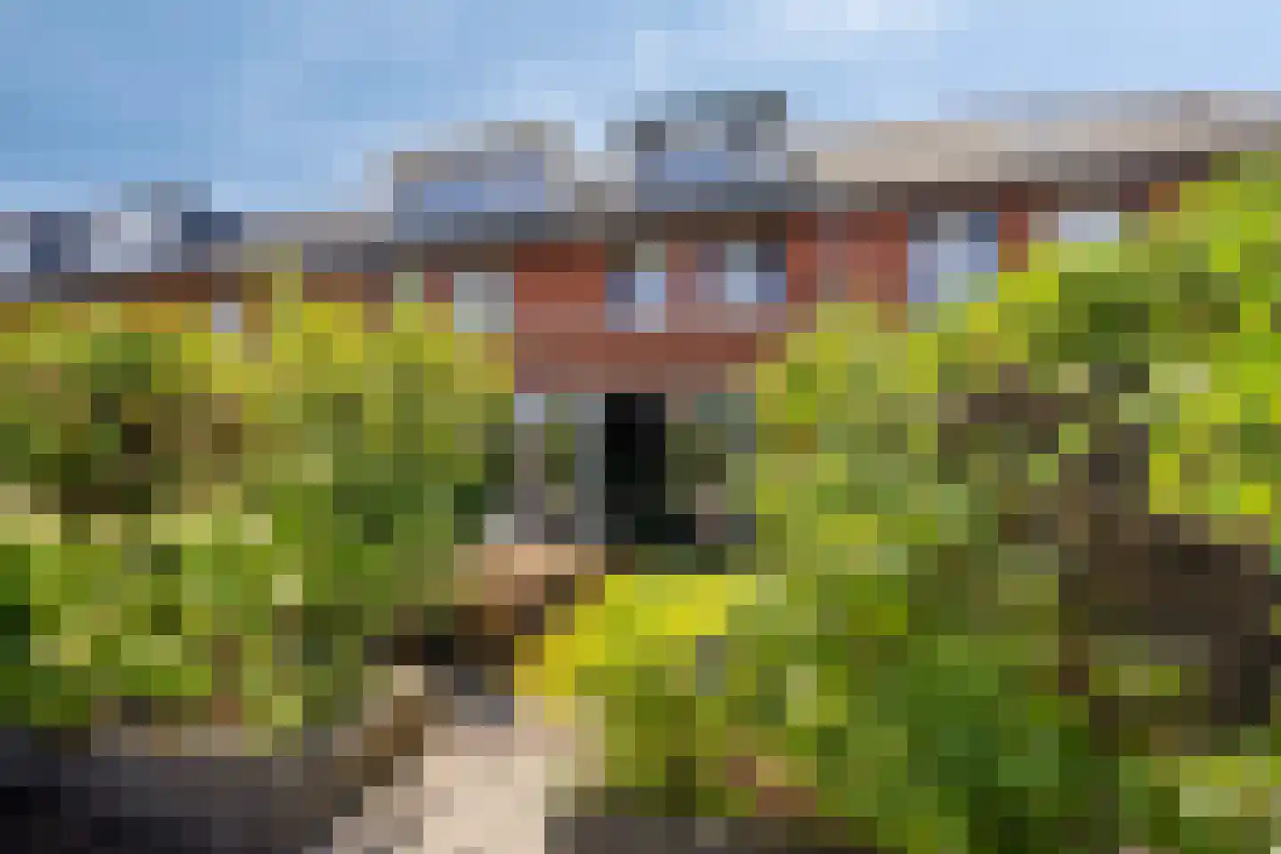 Koegelwieckplantsoen 3 Berkel en Rodenrijs thumbnail 29