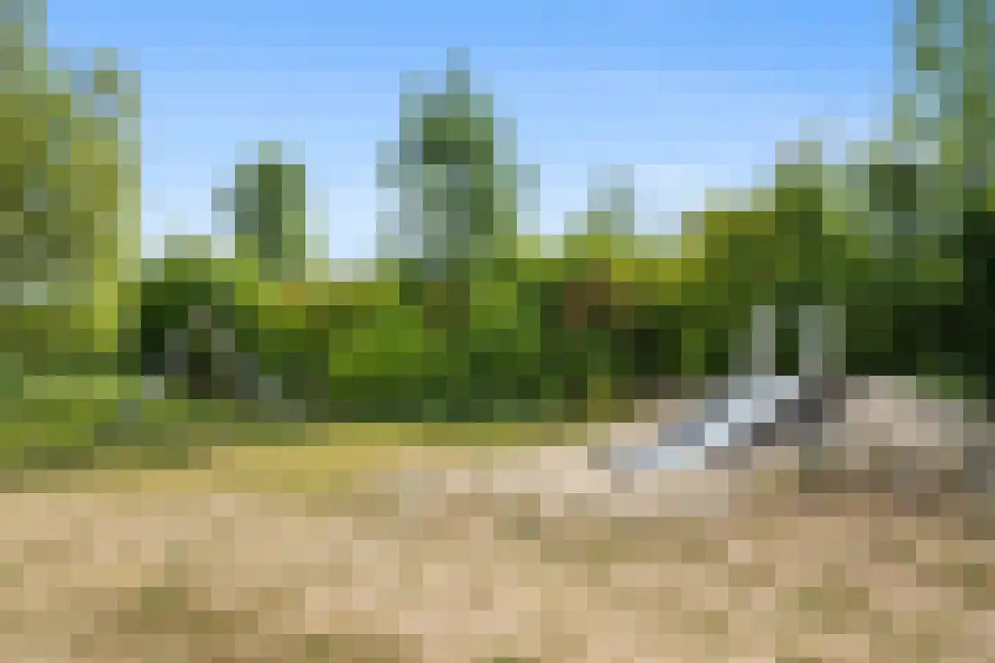 Koegelwieckplantsoen 3 Berkel en Rodenrijs thumbnail 38