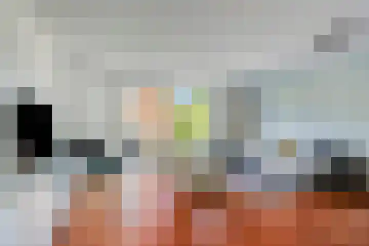 Koegelwieckplantsoen 44 Berkel en Rodenrijs thumbnail 13