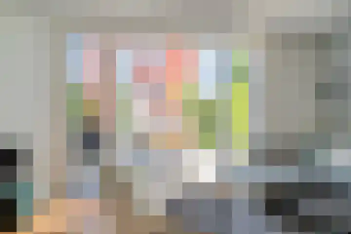 Koegelwieckplantsoen 44 Berkel en Rodenrijs thumbnail 14