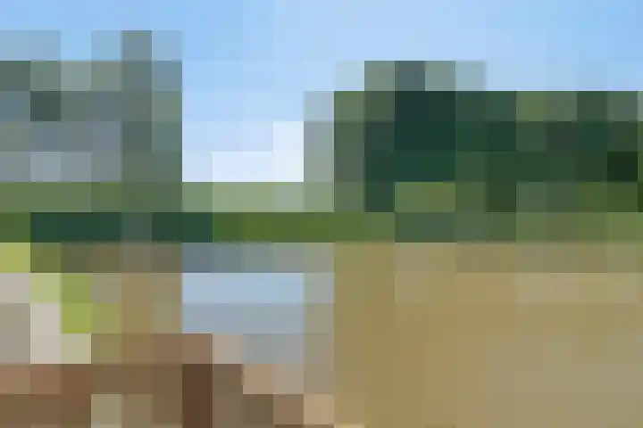 Koegelwieckplantsoen 44 Berkel en Rodenrijs thumbnail 20