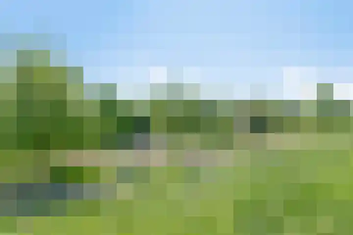 Koegelwieckplantsoen 44 Berkel en Rodenrijs thumbnail 37