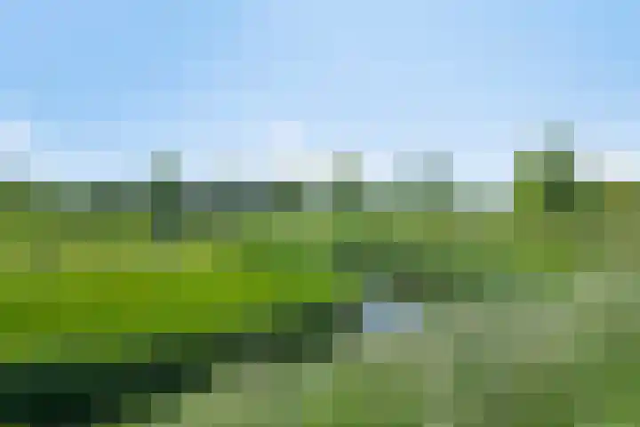 Koegelwieckplantsoen 44 Berkel en Rodenrijs thumbnail 38