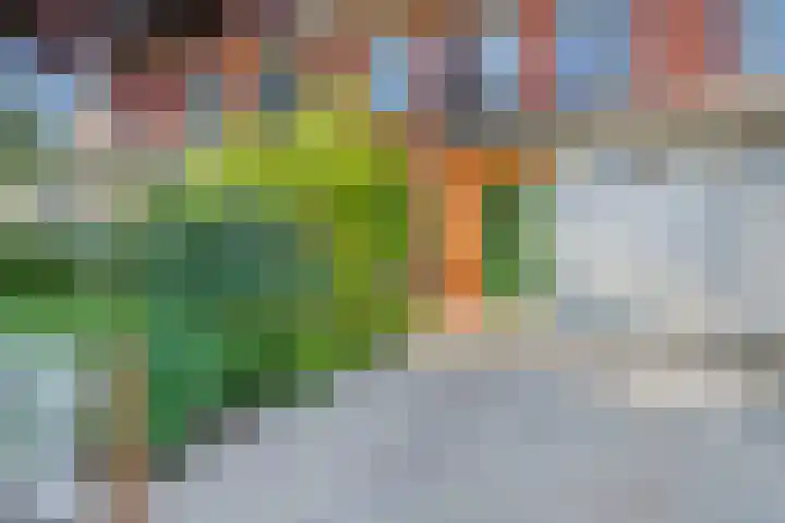 Koegelwieckplantsoen 44 Berkel en Rodenrijs thumbnail 4