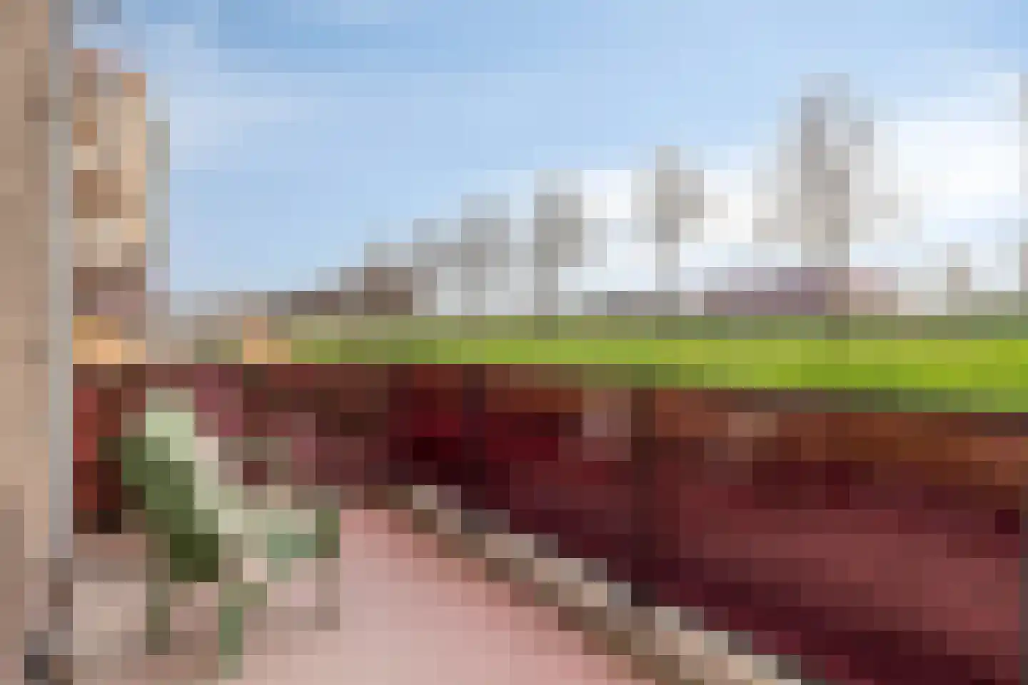 Koegelwieckplantsoen 51 Berkel en Rodenrijs thumbnail 31