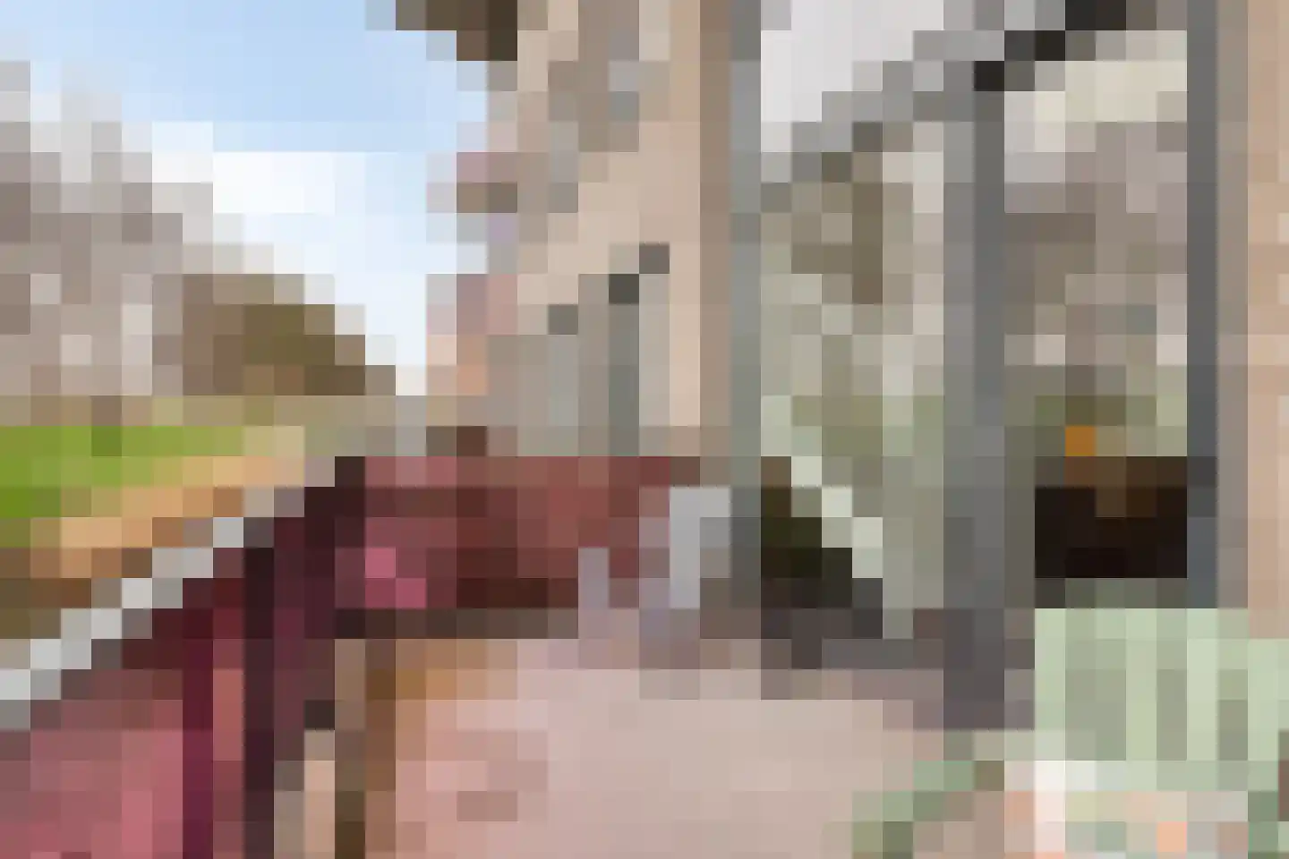 Koegelwieckplantsoen 51 Berkel en Rodenrijs thumbnail 33