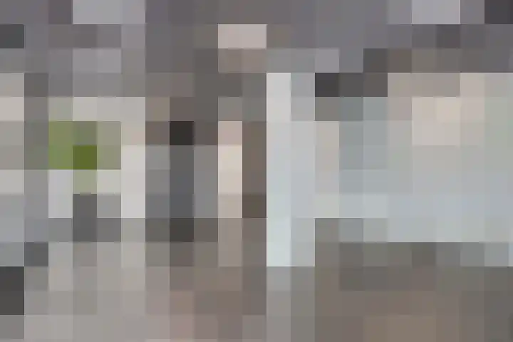 Koegelwieckplantsoen 53 Berkel en Rodenrijs thumbnail 7