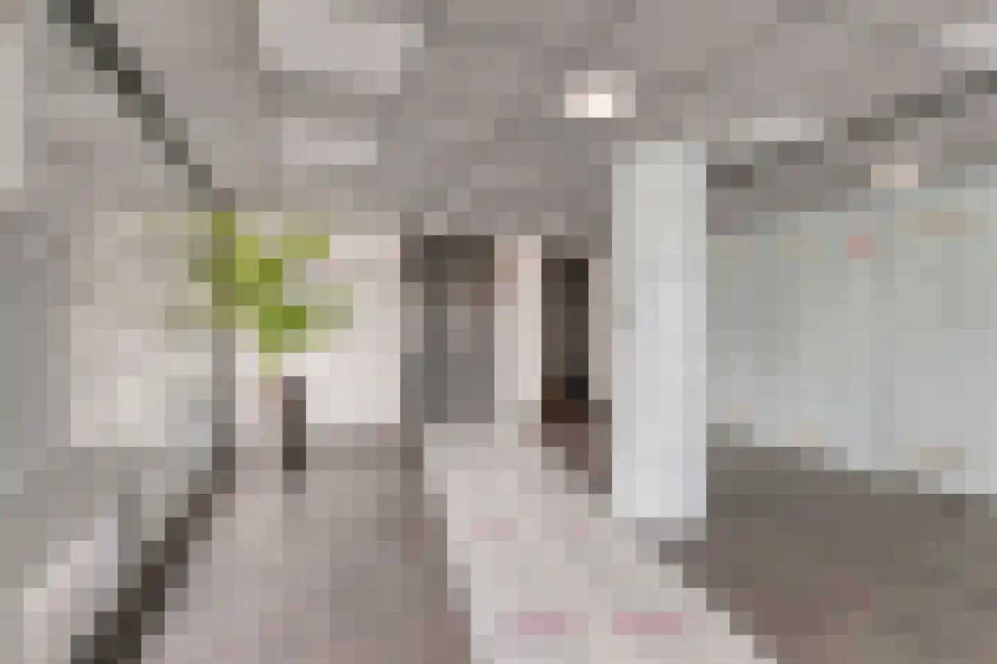 Koegelwieckplantsoen 81 Berkel en Rodenrijs thumbnail 7