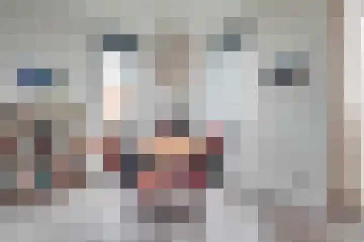 Koegelwieckplantsoen 89 Berkel en Rodenrijs thumbnail 13