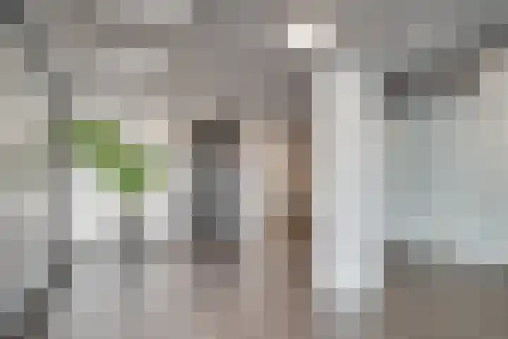 Koegelwieckplantsoen 89 Berkel en Rodenrijs thumbnail 41