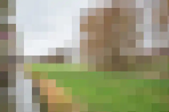 Koegelwieckplantsoen 89 Berkel en Rodenrijs thumbnail 45