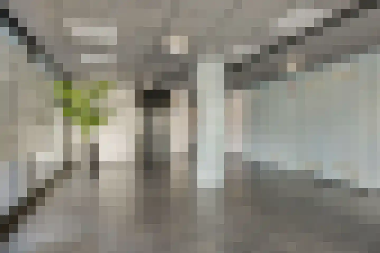 Koegelwieckplantsoen 91 Berkel en Rodenrijs thumbnail 10