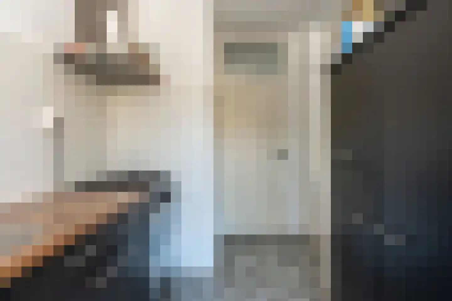 Koeheersplaats 8 Stadskanaal thumbnail 11