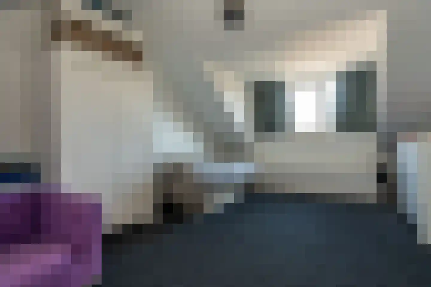 Koeheersplaats 8 Stadskanaal thumbnail 33