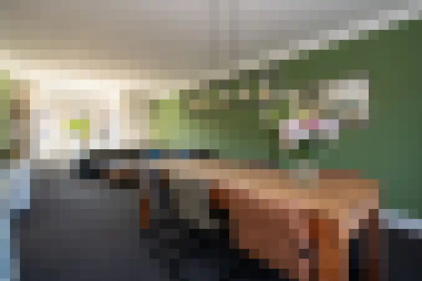 Koeheersplaats 8 Stadskanaal thumbnail 8