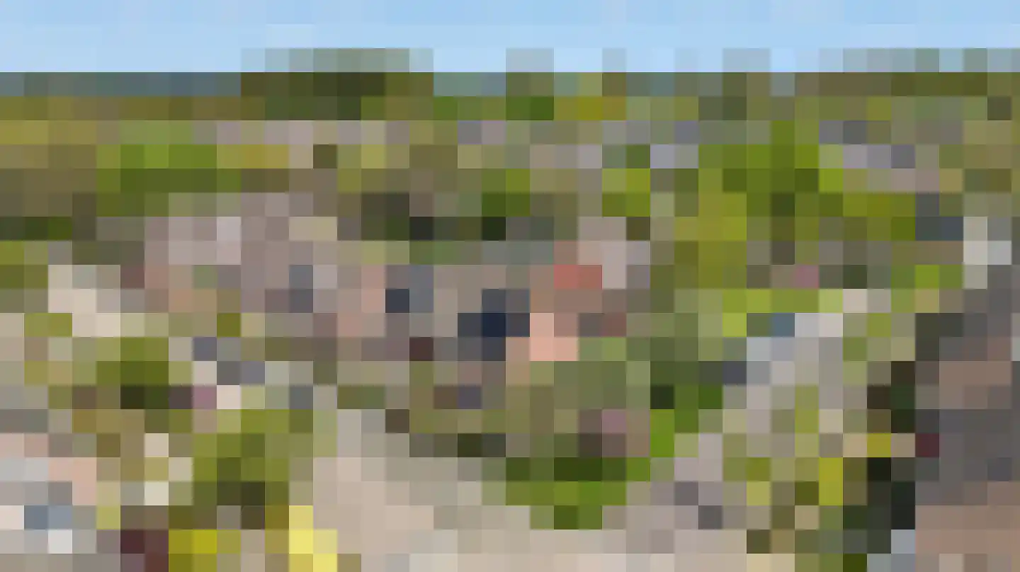 Koeherderwei 2 Valkenswaard thumbnail 38