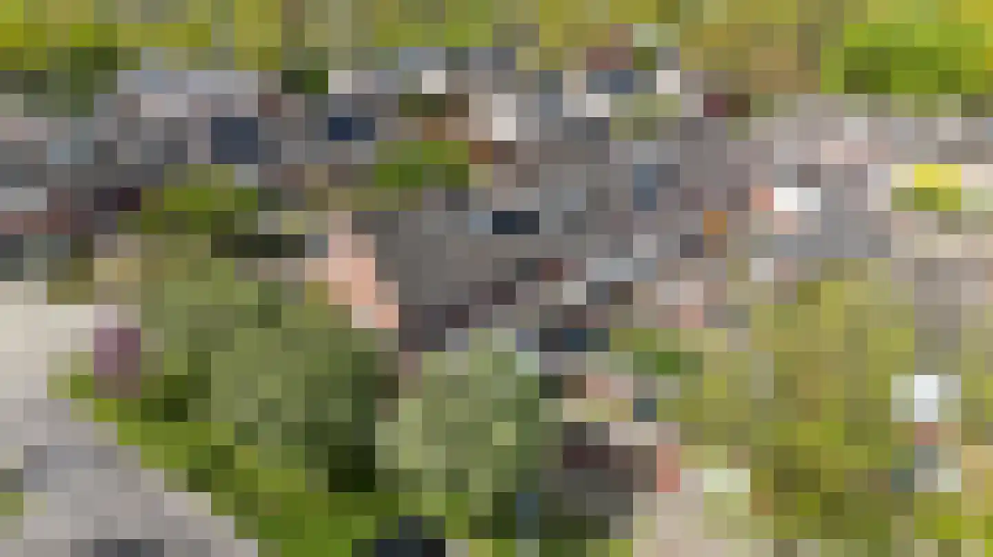 Koeherderwei 2 Valkenswaard thumbnail 40