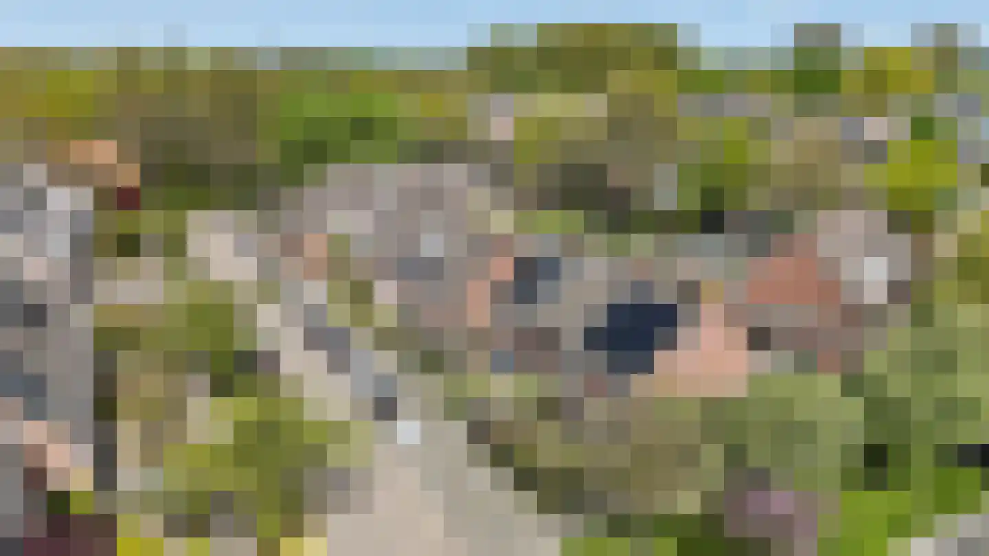 Koeherderwei 2 Valkenswaard thumbnail 41