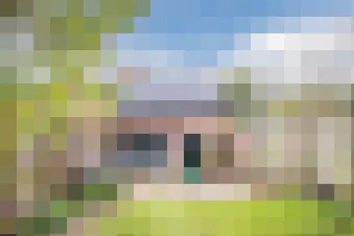 Koeherderwei 55 Valkenswaard thumbnail 31