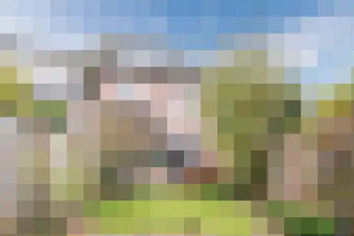 Koeherderwei 55 Valkenswaard thumbnail 33