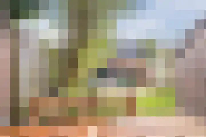 Koeherderwei 55 Valkenswaard thumbnail 4