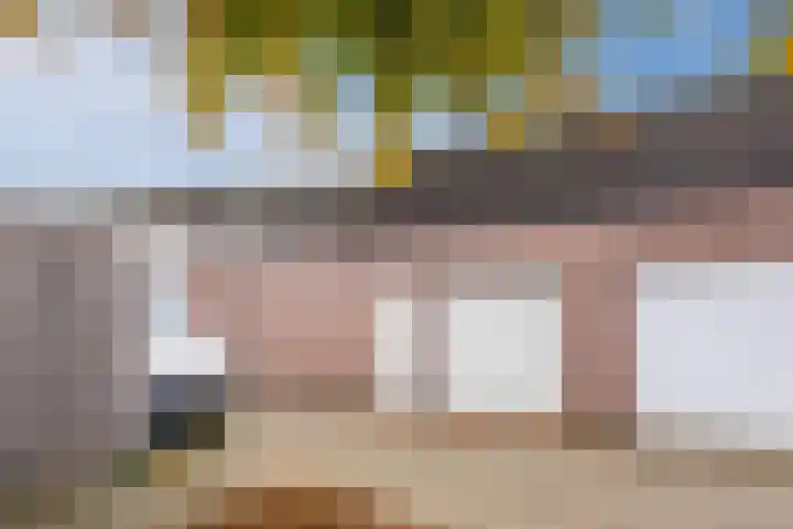 Koeherderwei 55 Valkenswaard thumbnail 5