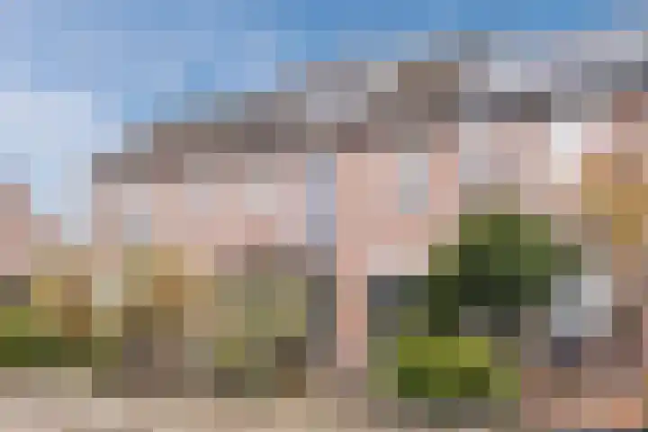 Koeherderwei 55 Valkenswaard thumbnail 6