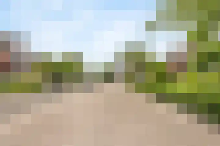 Koeherderwei 8 Valkenswaard thumbnail 25