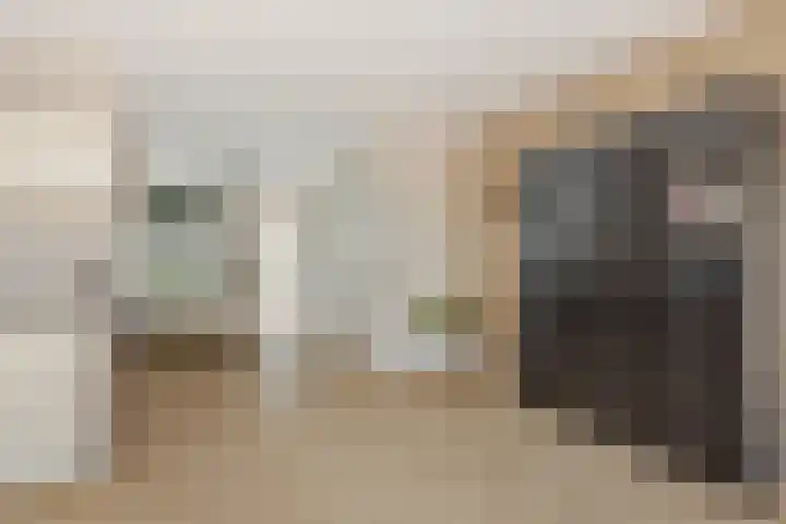 Koeherderwei 8 Valkenswaard thumbnail 6