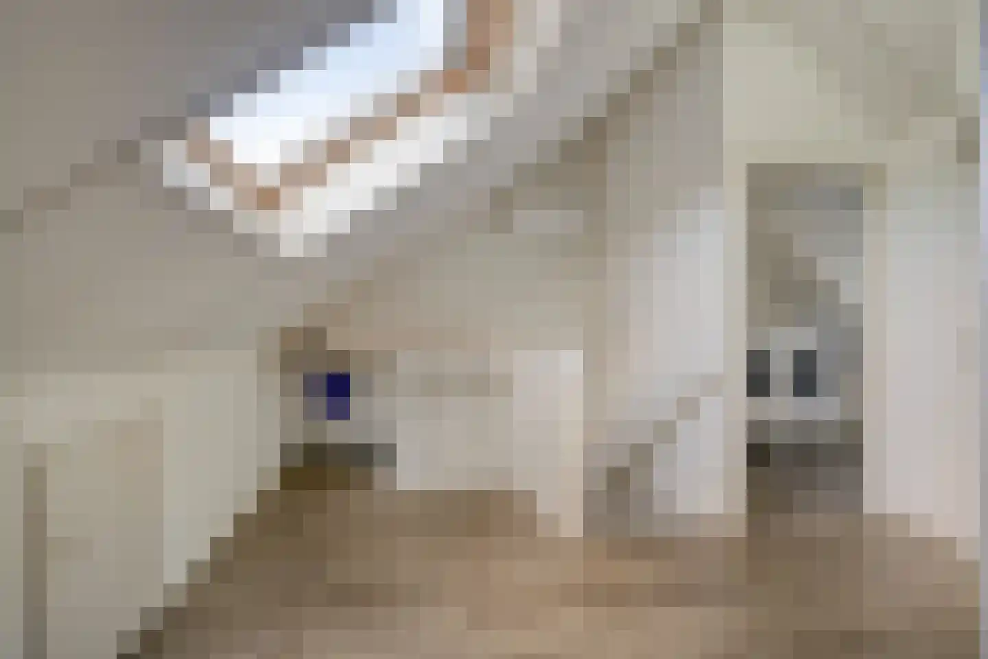 Koehorst 6 Enter thumbnail 21