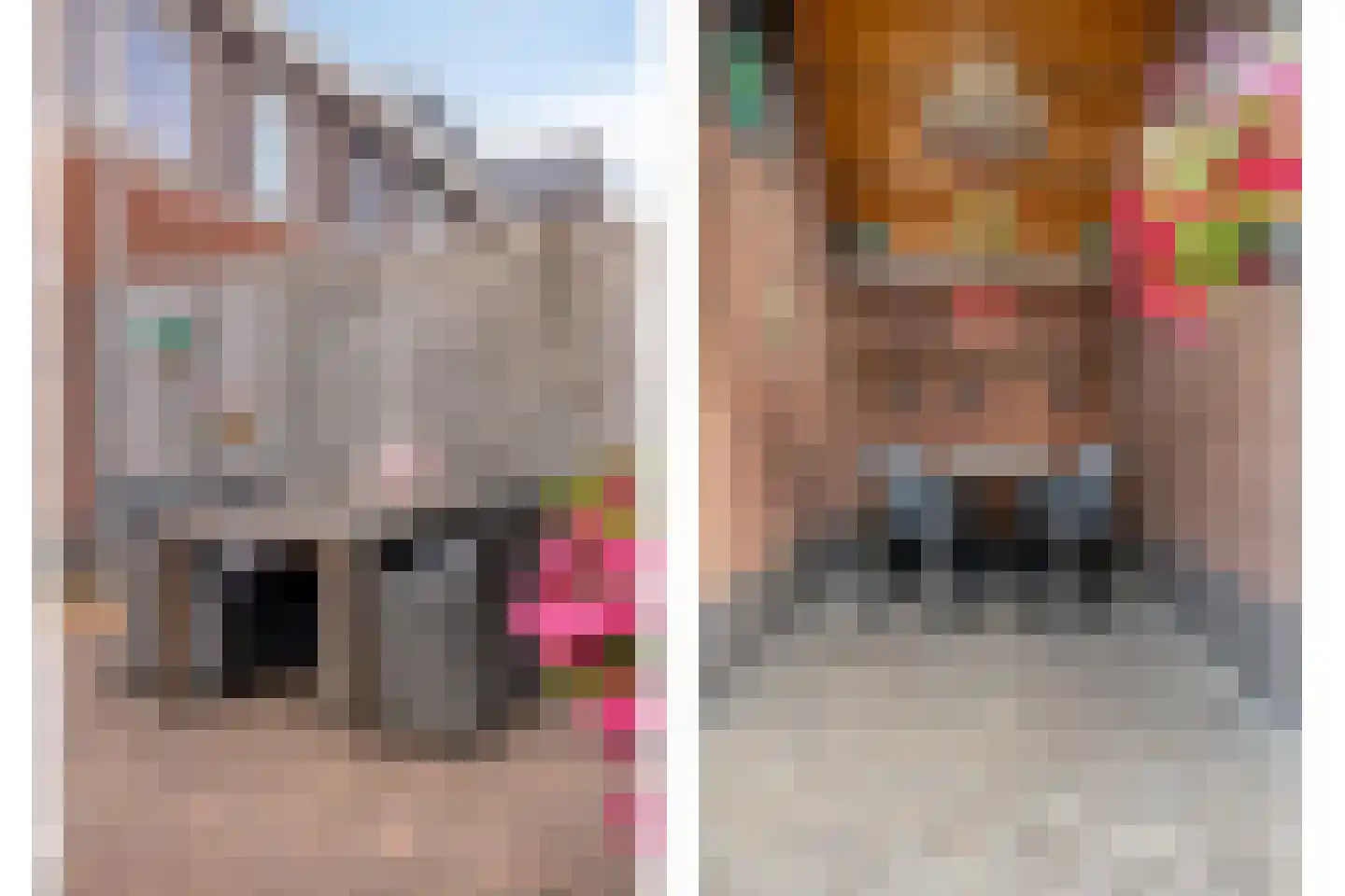 Koehorst 6 Enter thumbnail 31