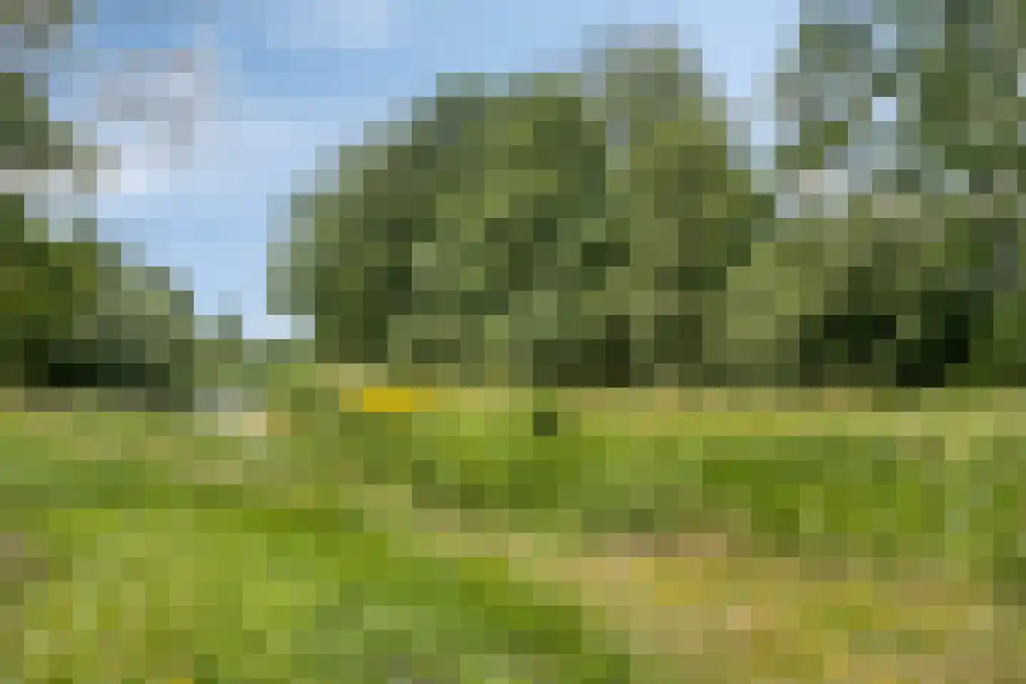 Koehorst 6 Enter thumbnail 34