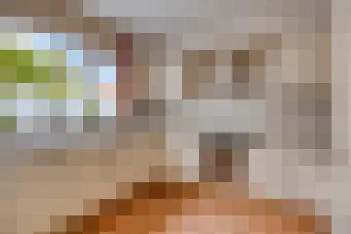 Koekamp 88 Delft thumbnail 10