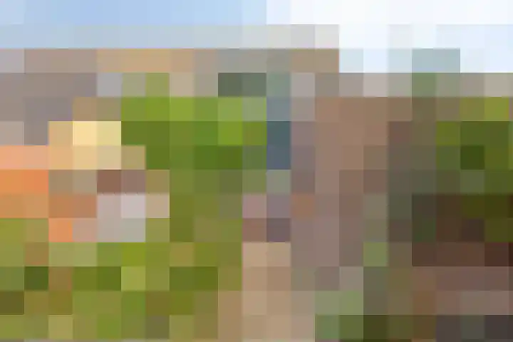 Koekamp 88 Delft thumbnail 21
