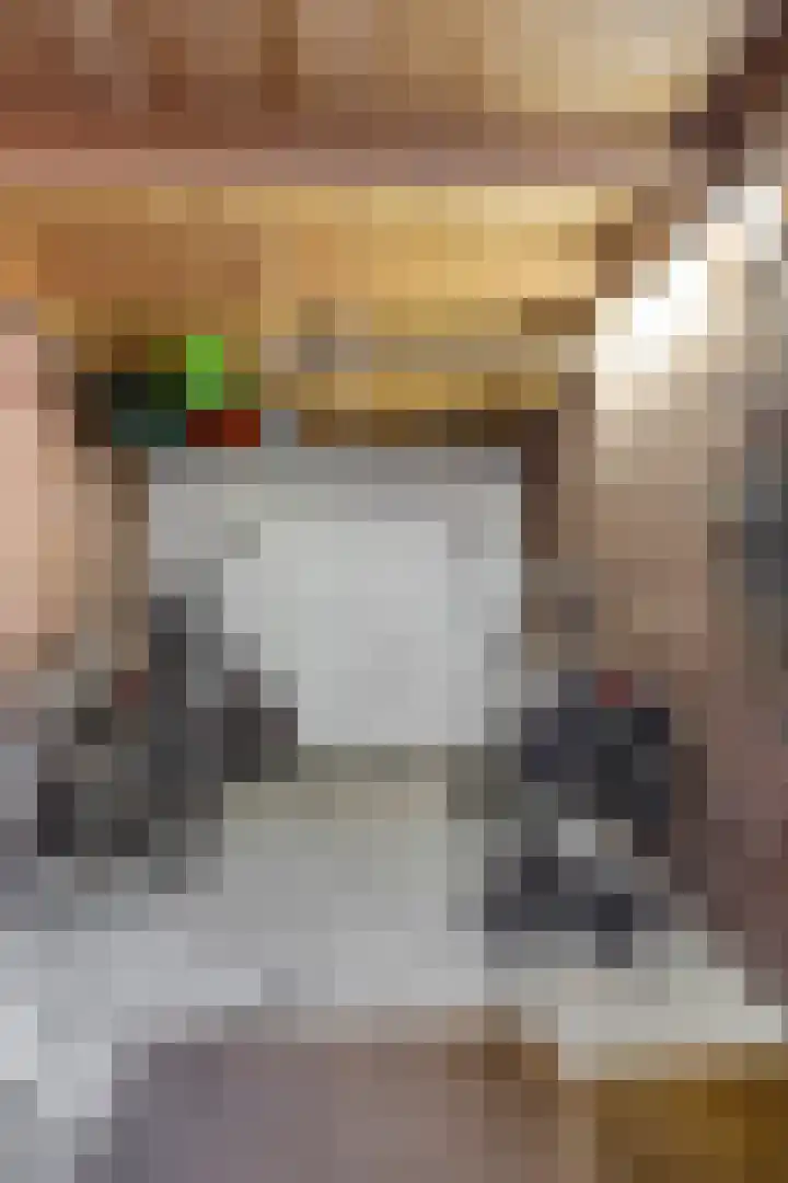 Koekamp 88 Delft thumbnail 5