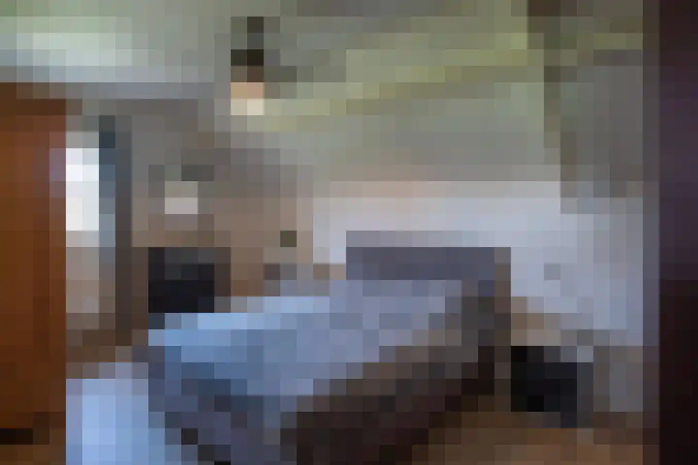 Koekamperweg 16 Putten thumbnail 25