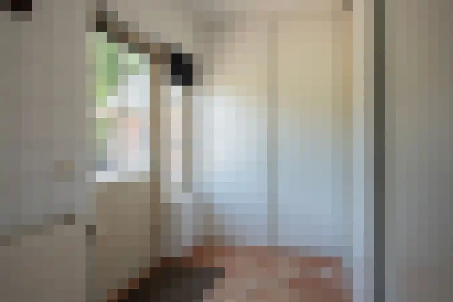 Koekamperweg 16 Putten thumbnail 31