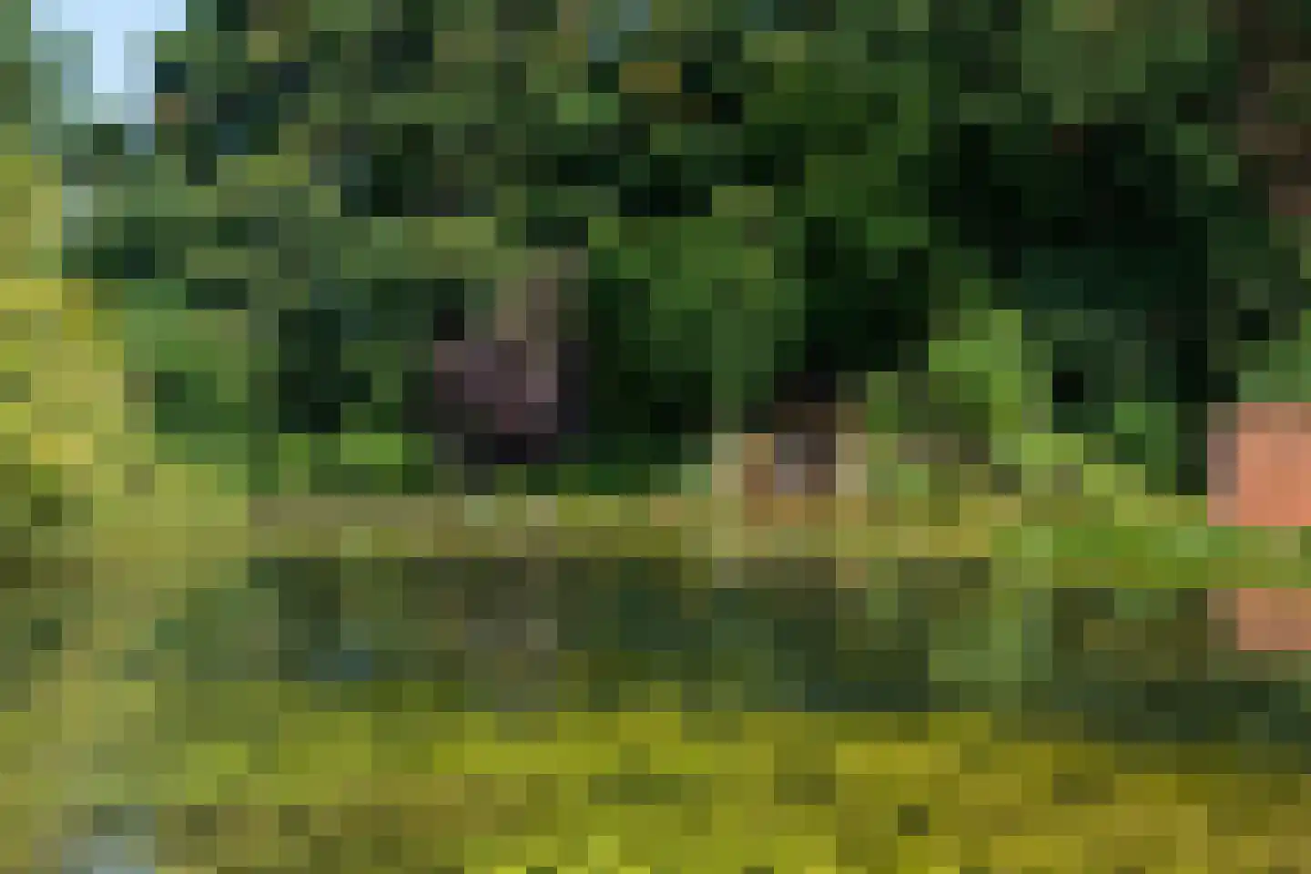 Koekamperweg 16 Putten thumbnail 46